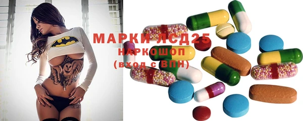гашик Белоозёрский