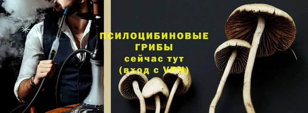 гашик Белоозёрский