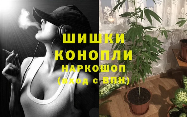 MDMA Белокуриха