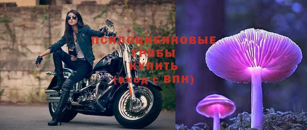 гашик Белоозёрский